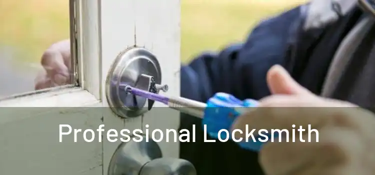  Professional Locksmith 